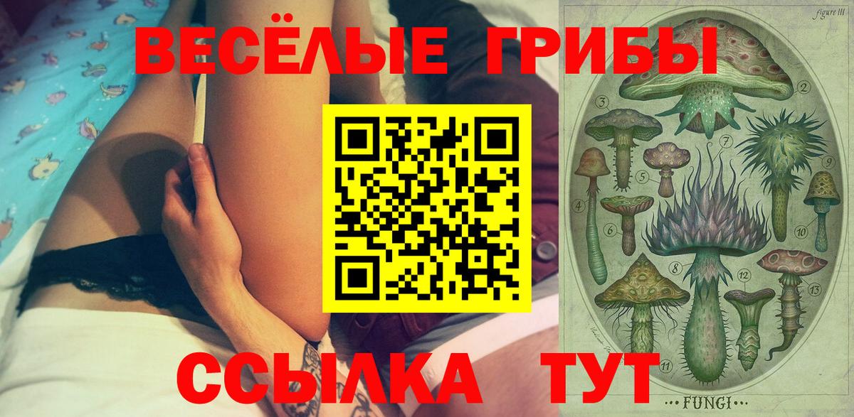 Псилоцибиновые грибы Cubensis Шатура