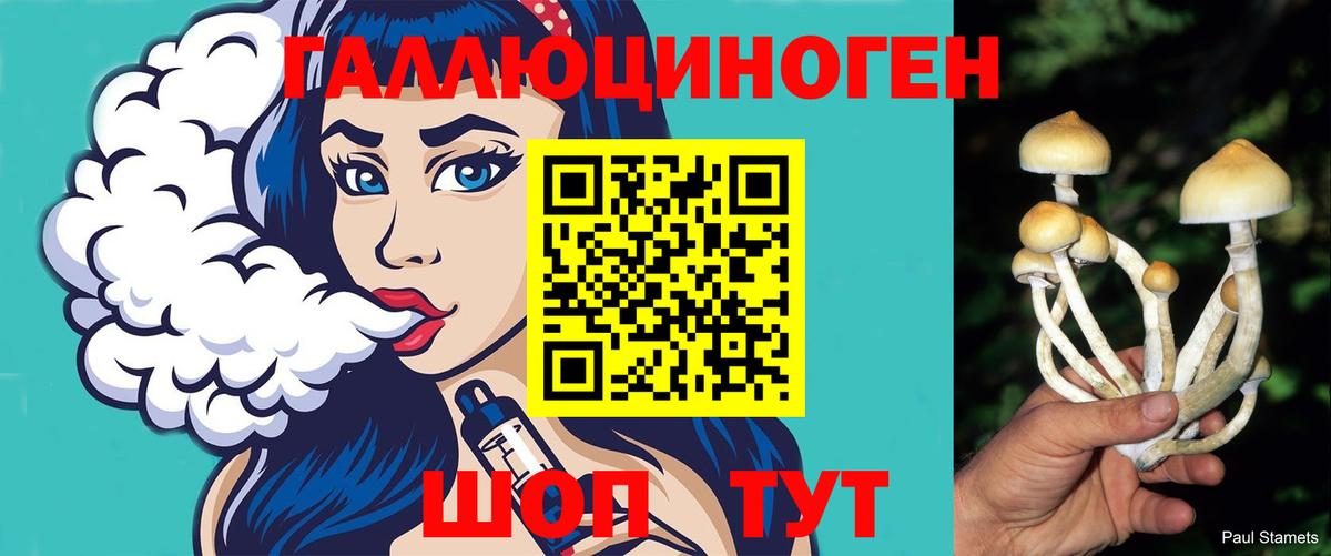 Галлюциногенные грибы ЛСД  Галлюциногенные грибы Psilocybe  Шатура  хочу наркоту  Вход с VPN 
