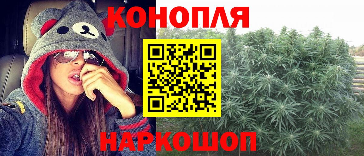 Каннабис планчик  Бошки Шишки White Widow  Вход с VPN  Шатура 